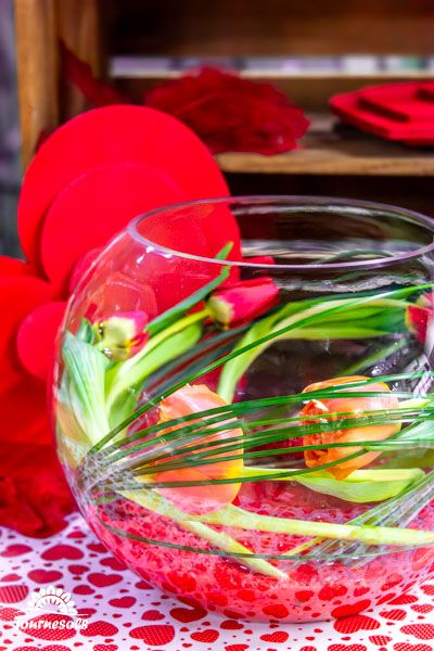 Belles tulipes rouges en pleine floraison au printemps, symbole de l'amour et de la passion